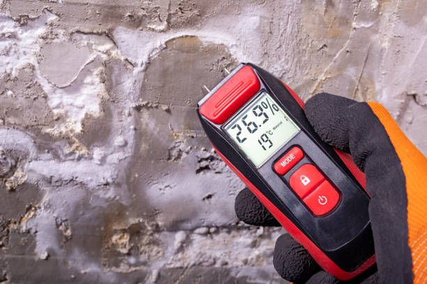 Best Attic Mold Removal  in Shell Point, SC
