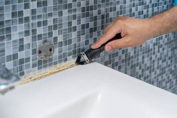 Best Certified Mold Removal  in Shell Point, SC