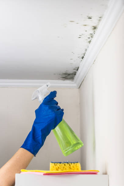 Crawl Space Mold Removal in Shell Point, SC